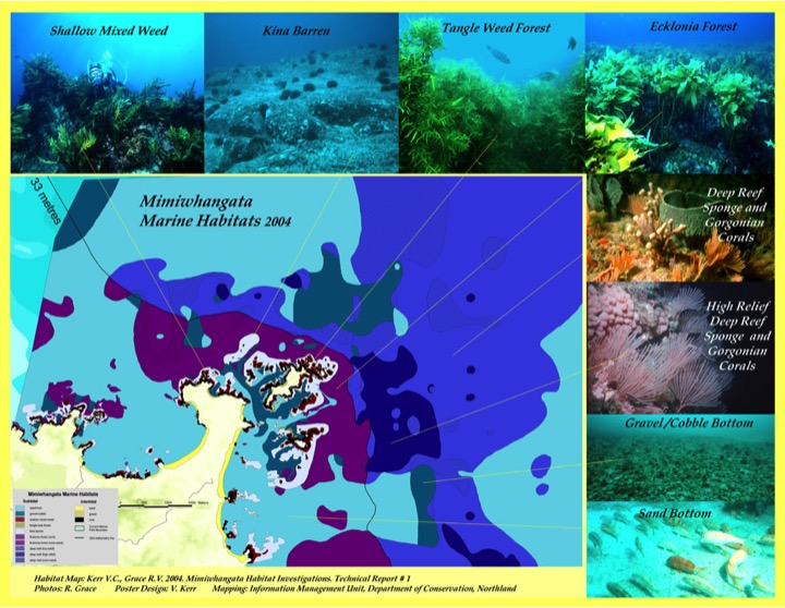 Mimiwhangata habitats poster